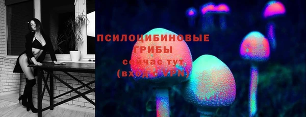 mdpv Арсеньев