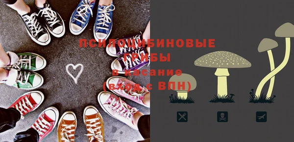 мет Аркадак