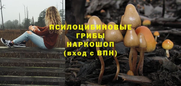 мет Аркадак