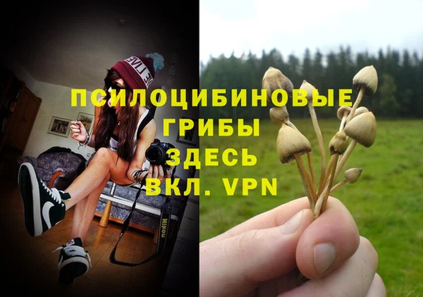 mix Армянск